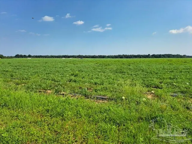 0 Jesse Allen Rd property photo