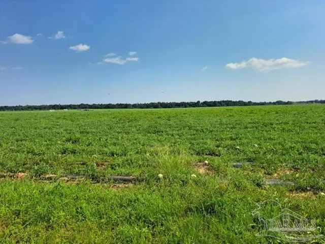 0 Jesse Allen Rd property photo