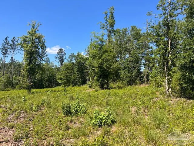 Lot 14-C Hwy 29 property photo
