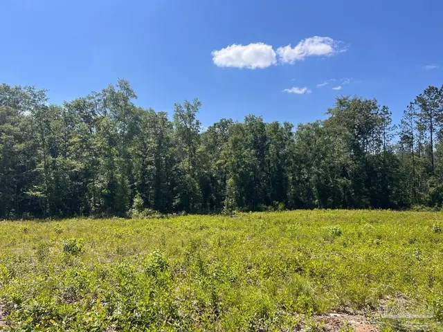 Lot 14-C Hwy 29, Molino FL 32577 exterior