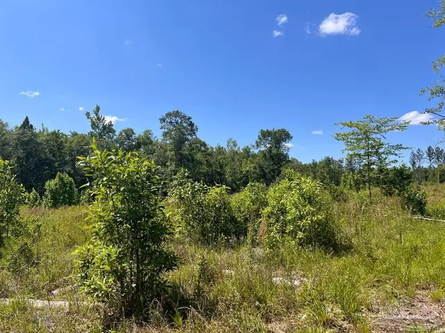 Lot 14-C Hwy 29 property photo