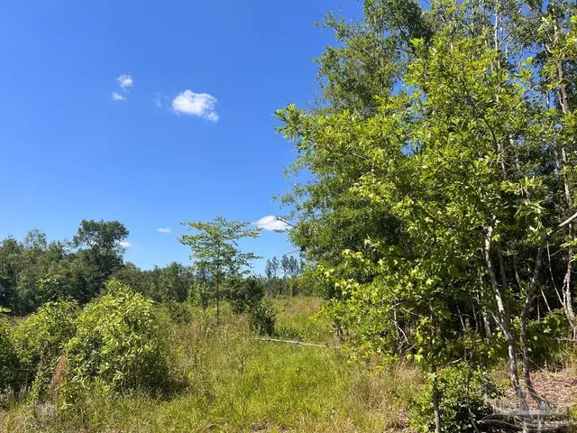 Lot 14-C Hwy 29 property photo