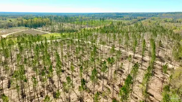 Lot 15-C Hwy 29, Molino FL 32577 exterior