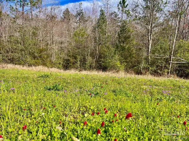 Lot 15-C Hwy 29 property photo