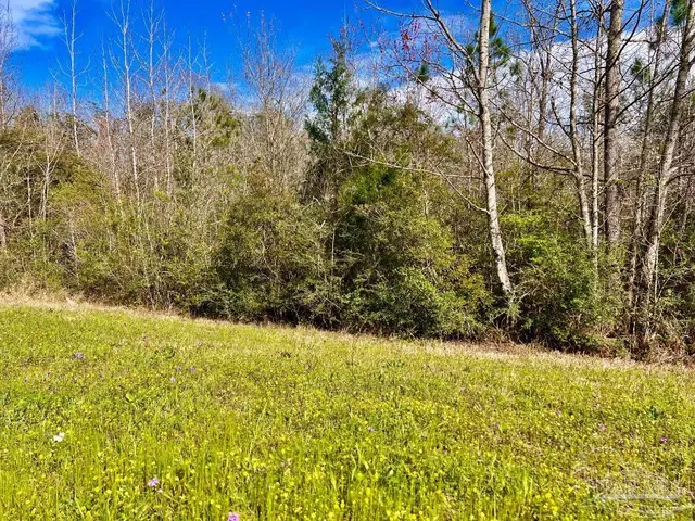 Lot 15-C Hwy 29 property photo