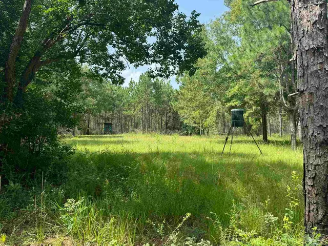 0 Nokomis Rd property photo