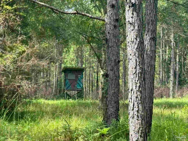0 Nokomis Rd, Walnut Hill FL 32568 exterior