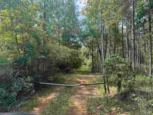 0 Nokomis Rd property photo