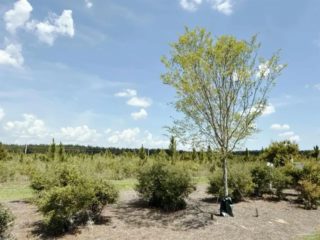 Lot 57 South Timber Ln property photo