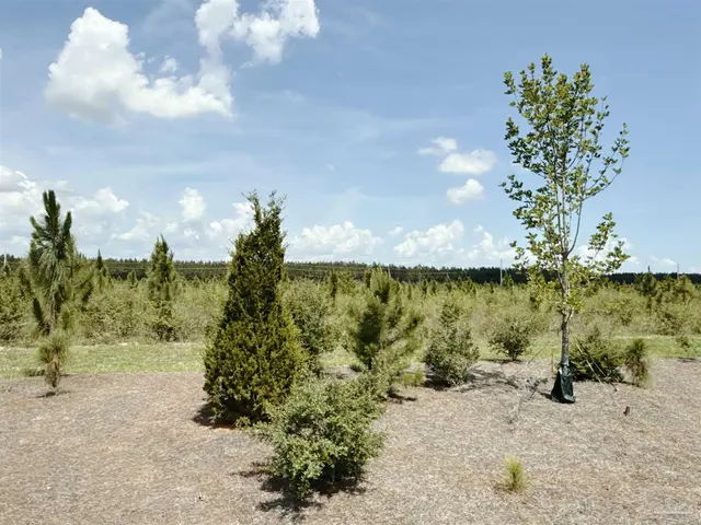 Lot 57 South Timber Ln property photo