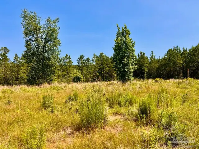 2035 Glacier Dr property photo