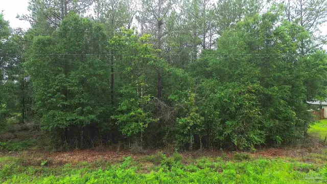 Lot 86 Pineview Church Rd, Jay FL 32565 exterior