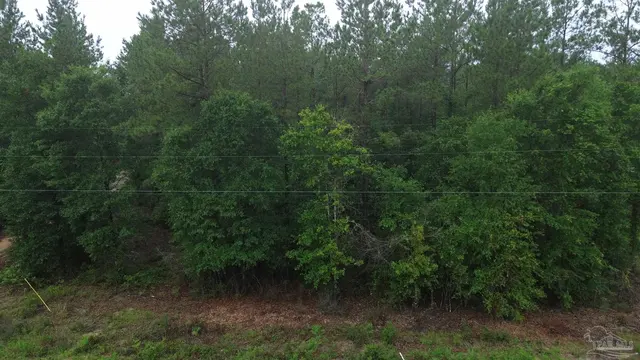 Lot 86 Pineview Church Rd property photo