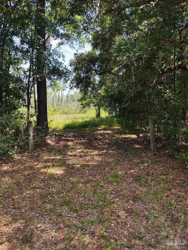 6595 Old Hwy 90 property photo