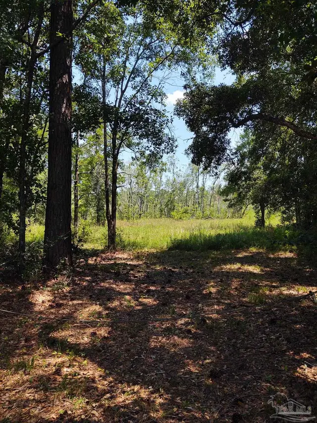 6595 Old Hwy 90 property photo