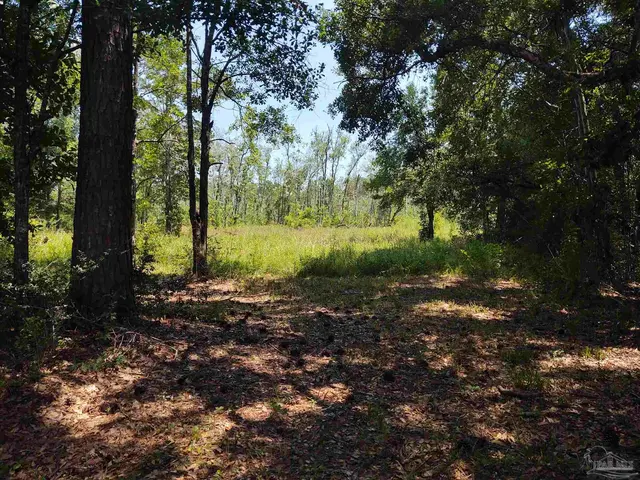 6595 Old Hwy 90 property photo