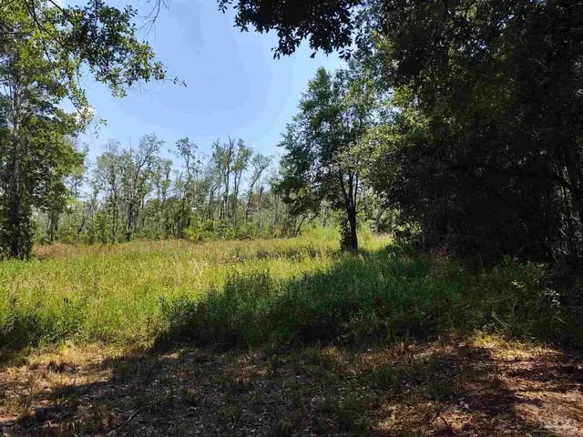 6595 Old Hwy 90 property photo