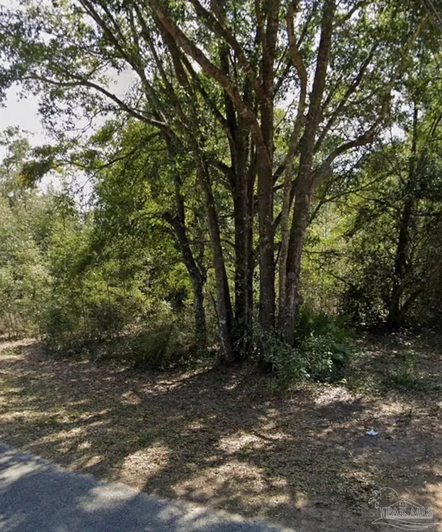 6214 Montgomery Ave property photo