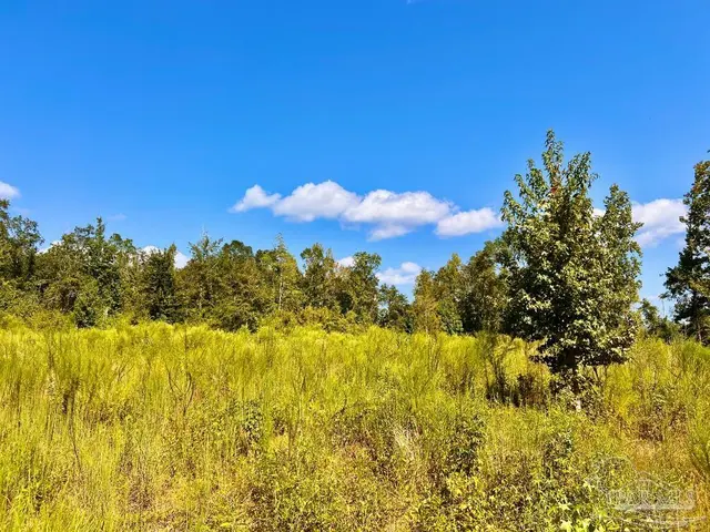Lot 6C Cotton Lake Rd, Molino FL 32577 exterior