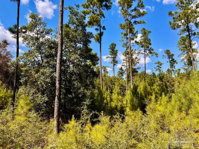 Lot 3 Morgans Branch property photo