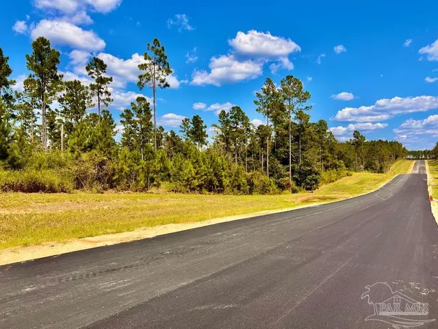 Lot 3 Morgans Branch, Molino FL 32577 exterior