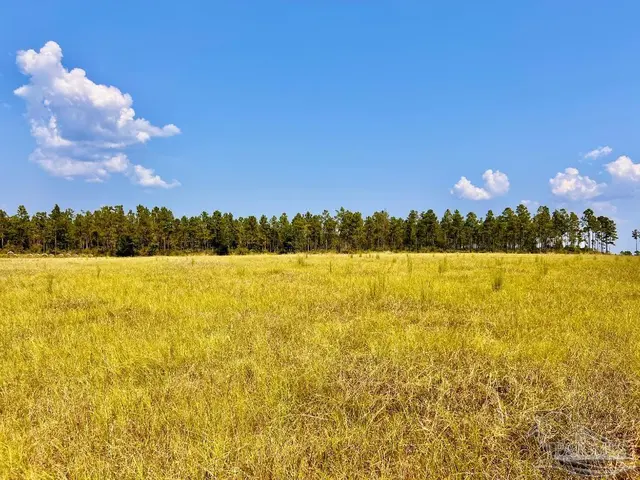 Lot 26 Morgans Branch, Molino FL 32577 exterior