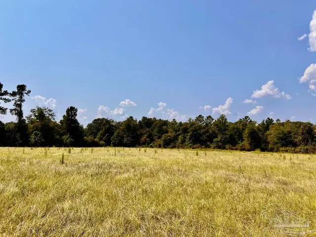 Lot 26 Morgans Branch property photo