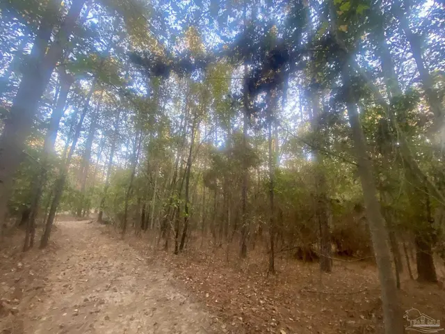 8.55 Acres Hwy 4 property photo