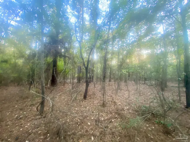 8.55 Acres Hwy 4 property photo