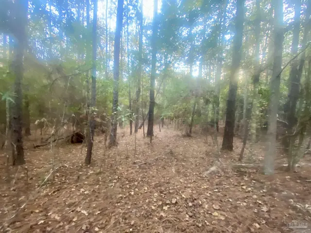 8.55 Acres Hwy 4 property photo