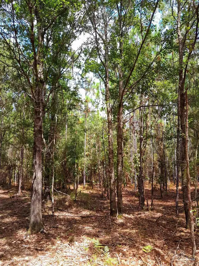 Parcel C-2 Wildlife Rd property photo
