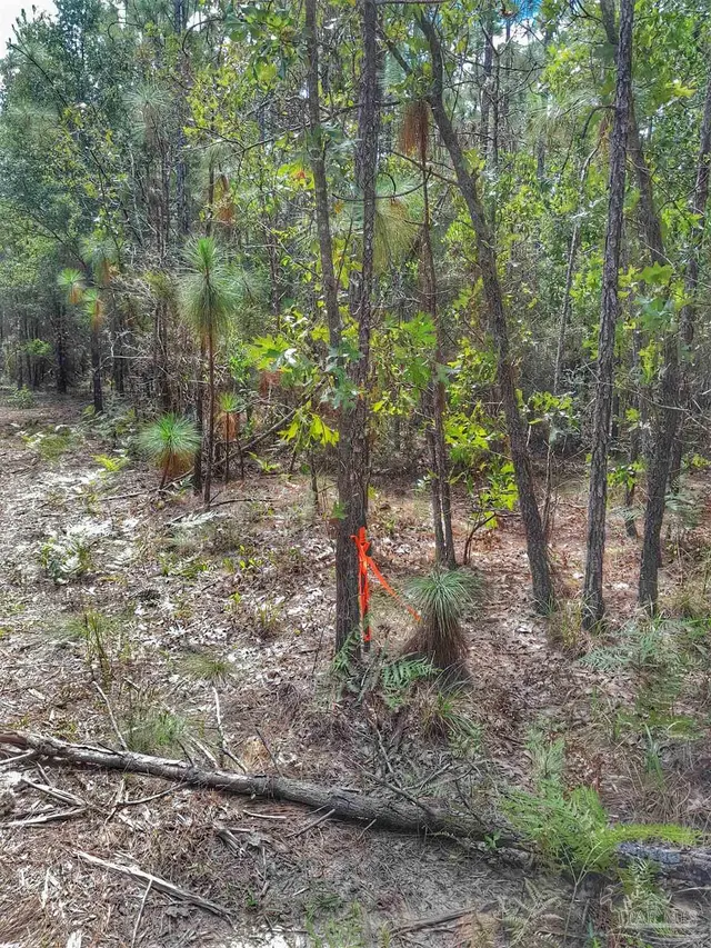 Parcel C-2 Wildlife Rd property photo