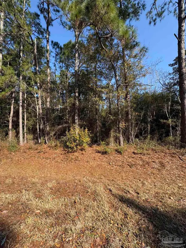 6632 Kensara Dr property photo