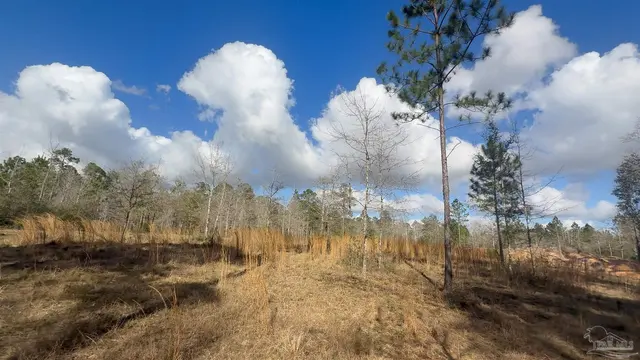 0 Native Creek Rd property photo