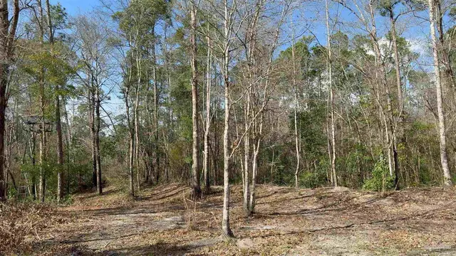 000 Native Creek Rd property photo