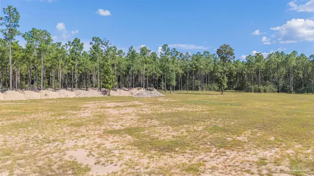 7047 Hidden Forest Trail property photo