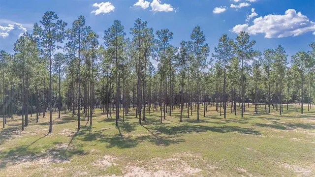 7047 Hidden Forest Trail property photo
