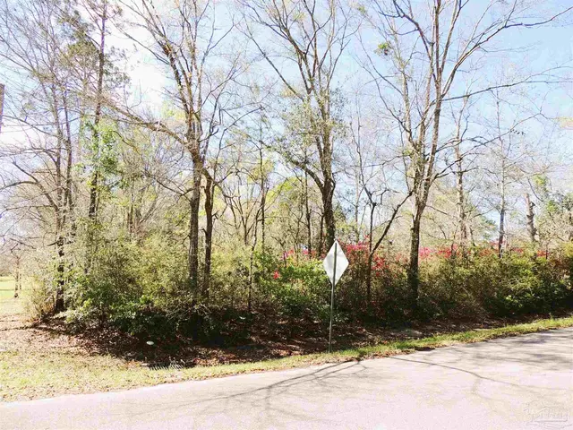 309 Crowndale Rd property photo