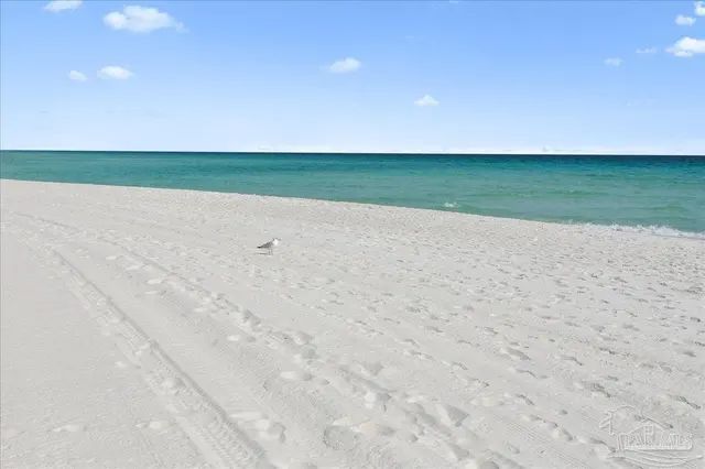 7515 Gulf Blvd property photo