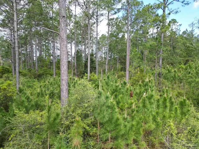8200 BLK Grimes Rd, Century FL 32535 exterior