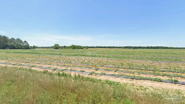 0 Russell Wade Rd, Allentown FL 32565 exterior