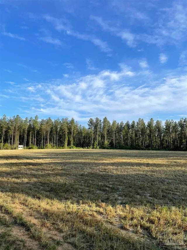 6950 Luth Rd, Molino FL 32577 exterior