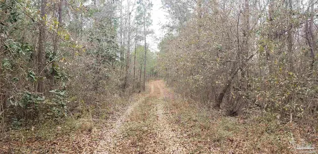 2200 Fannie Rd property photo