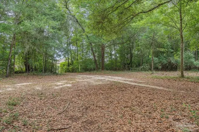 8271 Mobile Hwy property photo