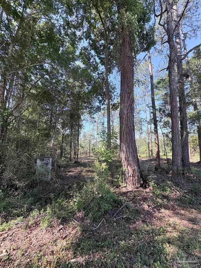 Del Monte St property photo