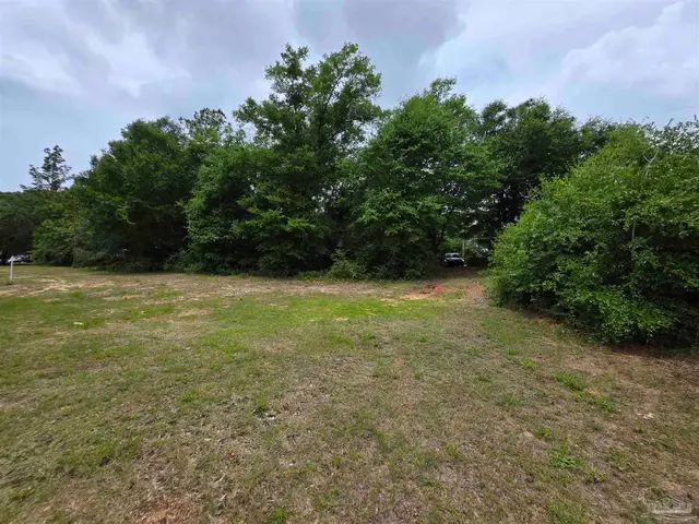2400 BLK Longleaf Dr property photo