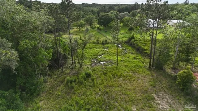 999 New Haven Dr property photo