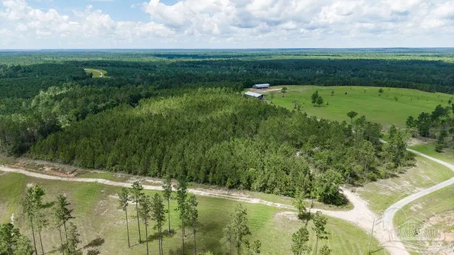 30 Acres Treetop Ridge Dr, Pace FL 32571 exterior
