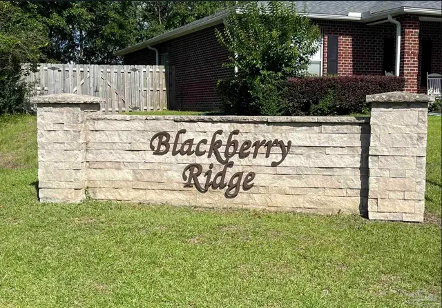 10006 Castleberry Blvd property photo