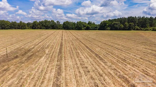 2732 Hwy 4 property photo